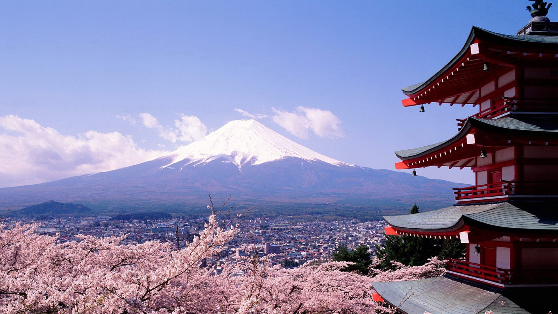 fuji